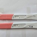 선일약국 | 계류유산 후 재임신