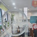 양천골흑염소요리 - 남동구 앵고개로948번길 4 | 양천골흑염소요리