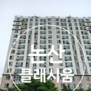 클래시움아파트 | [논산 강경 클래시움 방충망]논산 촘촘망 시공 다녀왔습니다!