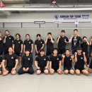 코리안 탑팀 강남 이미지