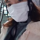 보나덴탈 | KFAD 국내산 3중 mb필터 비말차단 마스크 식약처 인증 마스크 덴탈 마스크 보나 일회용 마스크 착용 후기