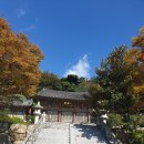 서림사 | 영화달마야놀자촬영지 신어산 자락 장유화상이 세운 김해 은하사 쌍어문양과 대웅전벽화 주차 입장료...