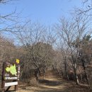 지양곡연대봉등산로 | <가덕도 연대봉> 주차장, 소요시간 간단 등반후기