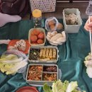 금성애견 이미지