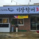 기장향어