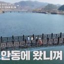 안동한우 이미지