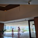 팔마수영장 | [마요르카/호텔] 팔마 공항 근처 가성비 멜리아팔마베이 솔직후기(조식,루프탑 수영장)