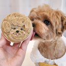 멍냥플레이트 이미지