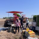 동송읍사무소 이미지