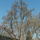 김진만농장 이미지