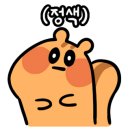 빽카스팀디테일링