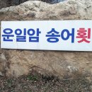 운일암송어횟집