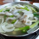 고파도박속낙지 이미지