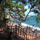 그린레일웨이 이미지