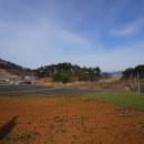 근흥초등학교 이미지