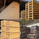 진우농장 | 진우목재 | 블루베리 농장 &#39;수분 유지&#39;를 위한 &#39;멀칭&#39; 톱밥 판매합니다.