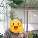 정원식빵