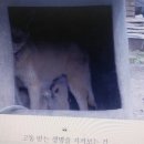 용재농장 이미지