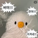 연화화덕생선구이 이미지