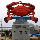 진도건어물 이미지