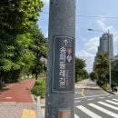 송파둘레길 | 송파둘레길 완주 후기(뱃지, 인증서) 짧은 코스 추천!
