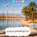 태연농장 | [신혼여행 8일차] LA 근교 조슈아트리 투어 1탄 사진 잘 나오는 코스 꿀팁