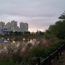 하늘빛호수 이미지