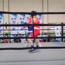 화랑 (권투) 이미지