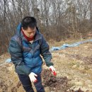 건희농장 이미지