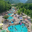 동해매점