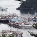 태풍소프트 이미지