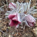 양양초등학교 이미지