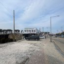 백합칼국수 이미지