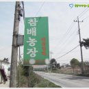 참배농장 이미지