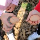 숲속의명품마을 이미지