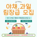 시장야채