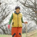 김정애농장 데일리안