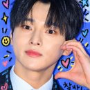 성리님 우리에스타인 만큼존중 합시다 이미지