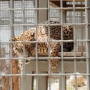 전주동물원 이미지