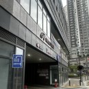 대구 애견 동반 스튜디오 코코아 셀프 사진관 다녀온 후기