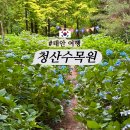 태안 여행 사랑의 불시착 촬영지 청산수목원 솔직후기/ 시즌별 테마, 애완견 입장
