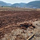 푸른들행정사무소 이미지