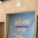 염포로R 이미지