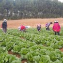 상부농장 이미지