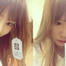 미모가발 OSEN
