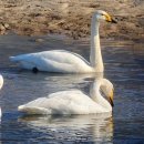 하남유니온타워 1층 이미지