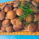 안영농장 이미지