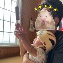 창녕 개비리길 펜션 이미지