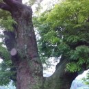 화방경로당 이미지