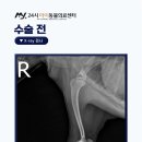 운정24시동물의료센터 이미지